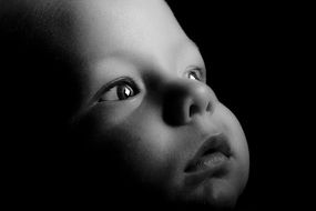 Baby Eyes black and white foto