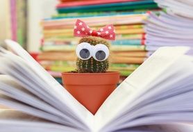 potted cactus stands in front of a stack of study books