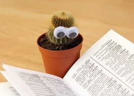 open book and potted cactus