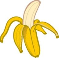 banana drawing on a white background