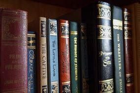 old books of educational literature on a shelf