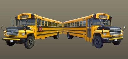 school buses on gray background