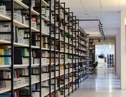 Colorful books on shelves in the library