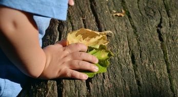 Child Hand