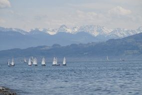 sailing boats on lake constance