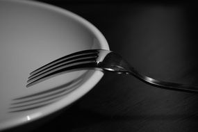 fork on a white plate