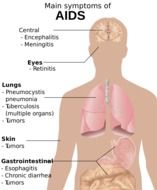 study of the human body in a diagram