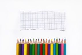 School Supplies, colored Pencils in row and grid paper