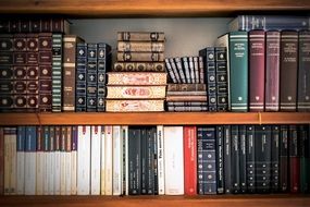 different books on the shelves in the library