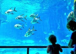 child and mother looking at Fish Tank