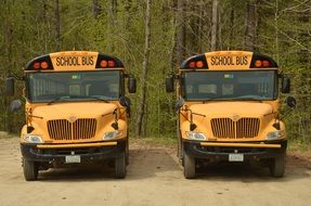 two yellow school buses in america