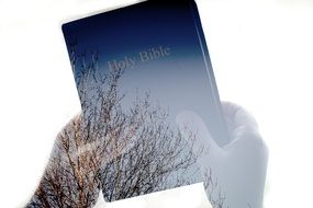 bible as spirituality