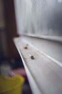 chalk on a stand under the board