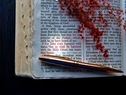 Pen on the Text in Bible