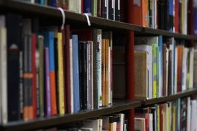 books on the shelves in the library