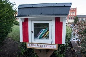 Little freeLibrary