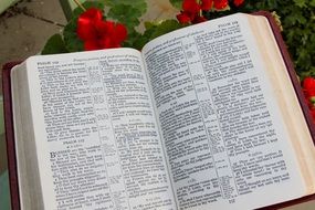 pages from the Bible