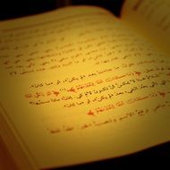 Bright paper of the book