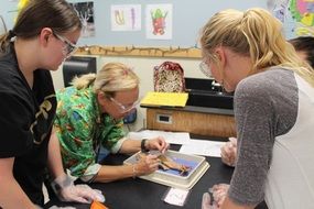 students analyze in the laboratory