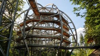 Canopy Walkway