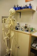 Skeleton Lab drawing