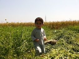 happy baby on the field