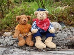 two large teddy bears on a log in the garden
