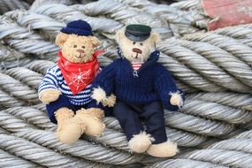 Teddy Bears Friendship