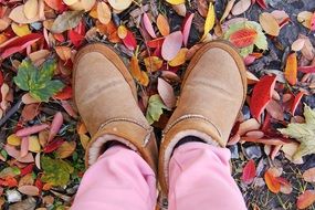 legs on bright fall foliage