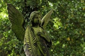 Angel at greenery, Stone Statue on Cemetery