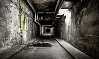 spooky corridor