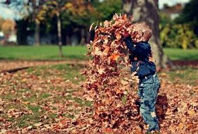 child throws colorful leaves in the park in autumn