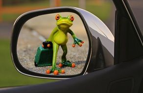 frog with luggage in rear mirror