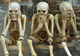 Picture of Skeletons sitting