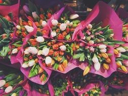 Photo of colorful bouquets of tulips
