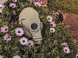 gas mask lies on the green grass