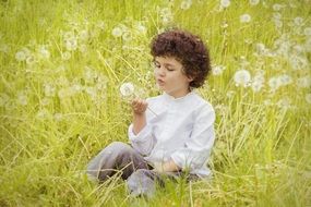 Child on the field with the dandelions