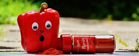 picture of the red Paprika spice