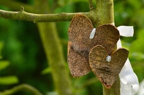 Wooden hearts on tree