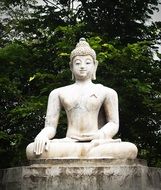 stone buddha statue in garden