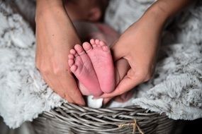 beautiful Newborn