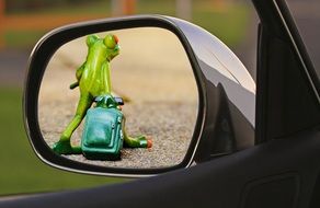 leaving ceramic frog