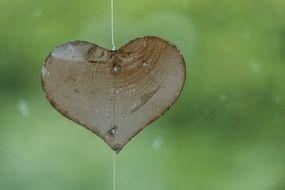 Heart valentine's day Decoration