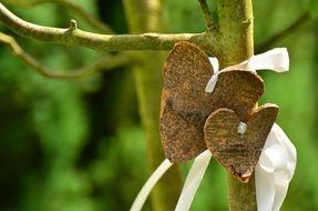 hearts made of tree bark