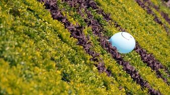 Happy Balloon on the green grass