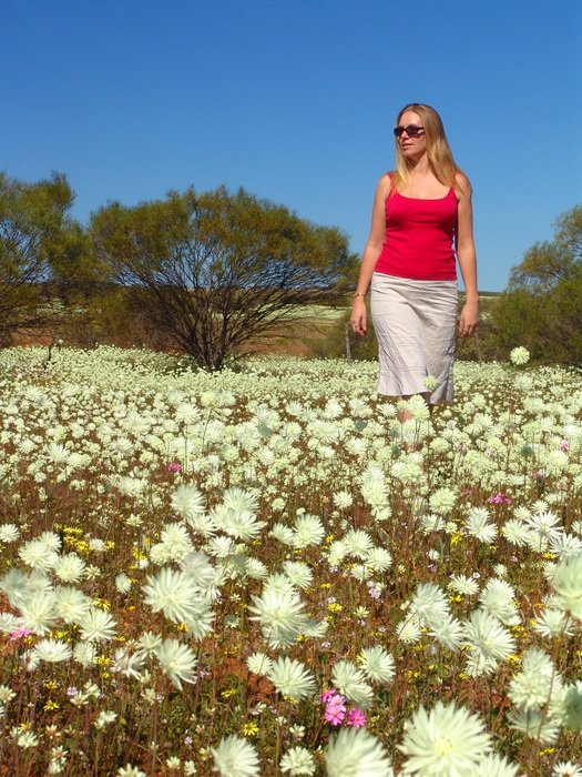 girl on chamomile field in Australia