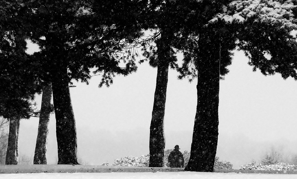 Lone Figure in forest
