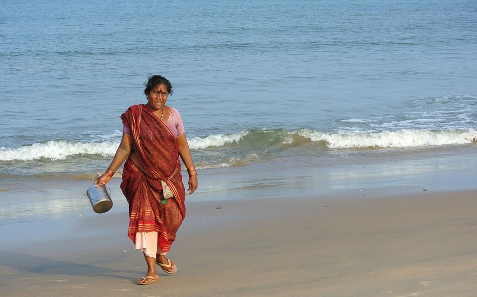 Fishwife in India
