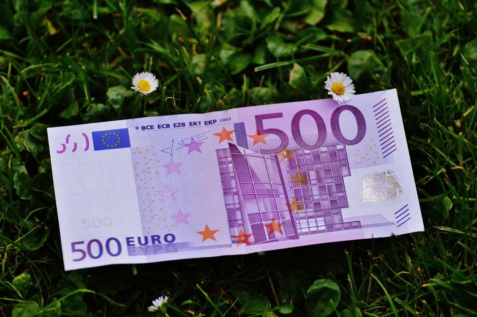 500 euro on green grass close-up