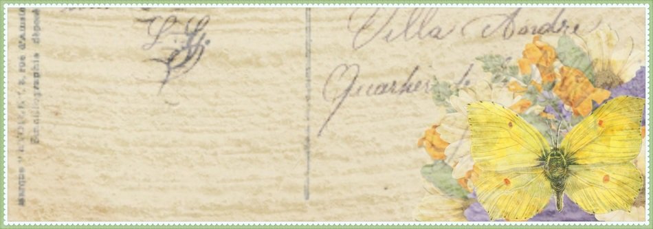 inscription on old paper with flowers and butterflies